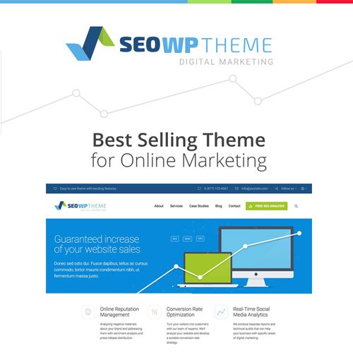 SEO WP | Digital Marketing Agency & Social Media Theme