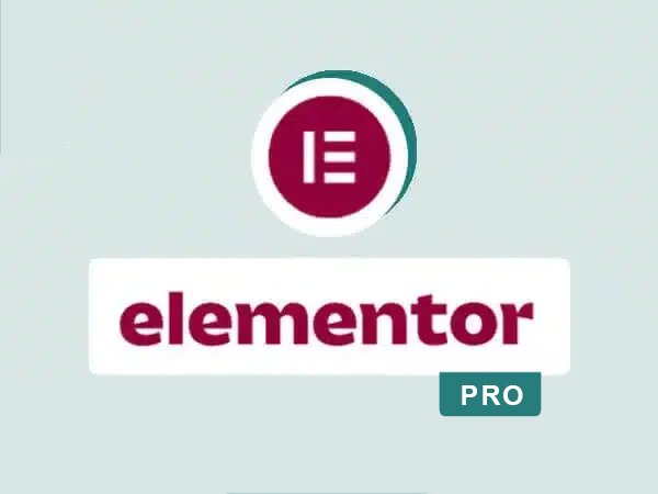 elementor pro license key