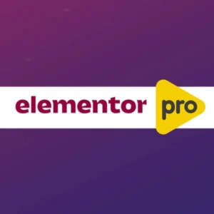 elementor-pro-license-key-activation